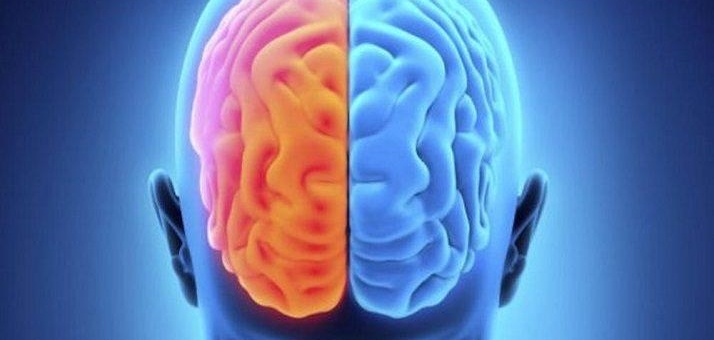 Il cervello è di destra o di sinistra?