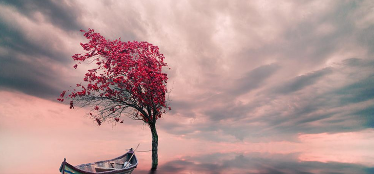 Gestire eventi negativi inattesi