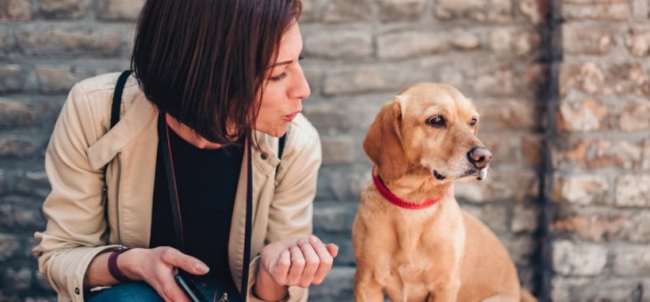 Perché parliamo con il nostro cane come se fosse un bambino?