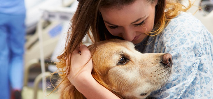 Psicoterapia con un amico a quattro zampe: quando il cane diventa co-terapeuta