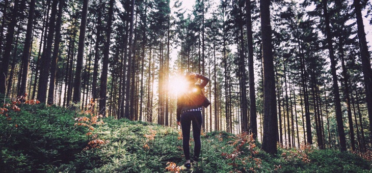 Psicologia ambientale: l’influenza degli spazi sul comportamento umano