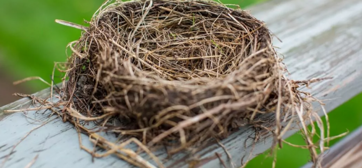 La sindrome del nido vuoto
